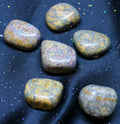 Jasper Leopardskin - Tumbled | Tumbled Gemstone | Wiccan Center