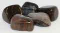 Petrified Wood - Tumbled | Tumbled Gemstone | Wiccan Center