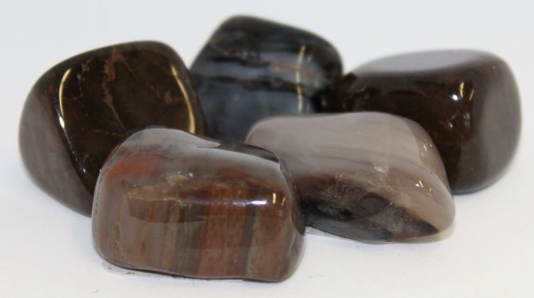 Petrified Wood - Tumbled | Tumbled Gemstone | Wiccan Center