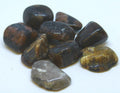 Chiastolite | Tumbled Gemstone | Wiccan Center