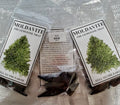 Moldavite Incense Cones | Incense | Wiccan Center