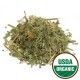 Periwinkle - Organic (1 oz) | Herbs | Wiccan Center