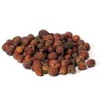 Hawthorn Berries - Whole (1oz) | Herbs | Wiccan Center