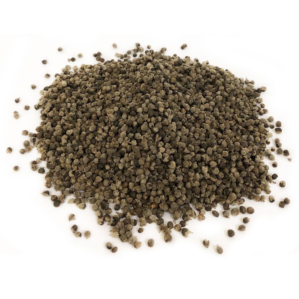 Chaste Tree Berries (1 oz) | Herbs | Wiccan Center