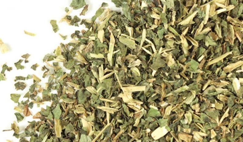 Wild Lettuce Leaf - Cut (1 oz) | Herbs | Wiccan Center