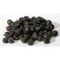 Juniper Berries - Whole (1 oz) | Herbs | Wiccan Center