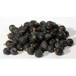 Juniper Berries - Whole (1 oz) | Herbs | Wiccan Center