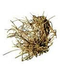 Devil's Shoestring Root (1oz) | Herbs | Wiccan Center