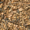 Sarsaparilla Root - Indian (1 oz) | Herbs | Wiccan Center