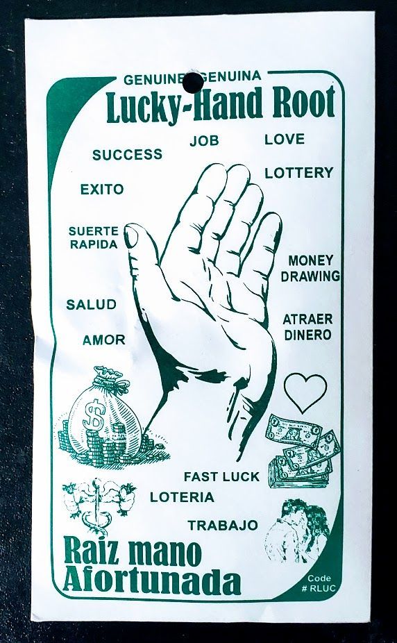 Lucky Hand Root - Small | Herbs | Wiccan Center