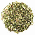 Scullcap Leaf & Flower - Organic (1 oz) | Herbs | Wiccan Center