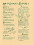 9 Herbs Poster | Poster | Wiccan Center