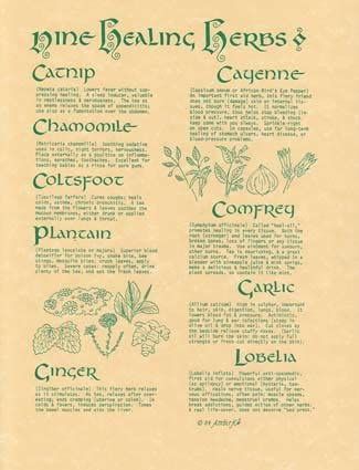 9 Herbs Poster | Poster | Wiccan Center