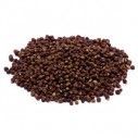 Grains of Paradise (1 oz) | Herbs | Wiccan Center