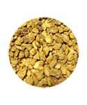 Devil's Claw Root - Cut (1 oz) | Herbs | Wiccan Center