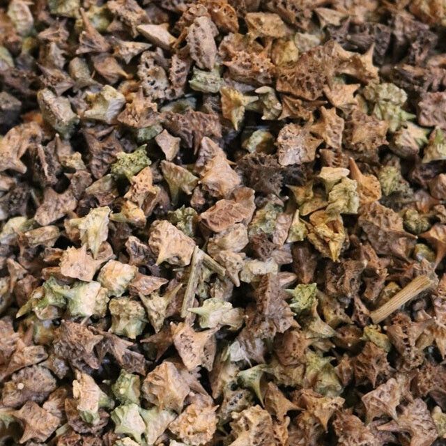 Tribulus Fruit - Whole (1 oz) | Herbs | Wiccan Center