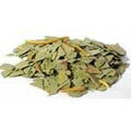 Eucalyptus Cut - 1oz | Herbs | Wiccan Center