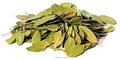 Bearberry - Cut (1oz) | Herbs | Wiccan Center