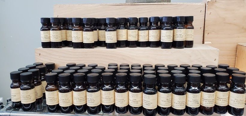 Eucalyptus Essential 1/2oz Oil