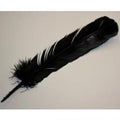 Black Feather (10-12") | Feathers | Wiccan Center