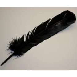 Black Feather (10-12") | Feathers | Wiccan Center