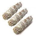 Blue Sage 4" (3 Pack) | Smudge | Wiccan Center