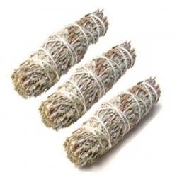 Blue Sage 4" (3 Pack) | Smudge | Wiccan Center