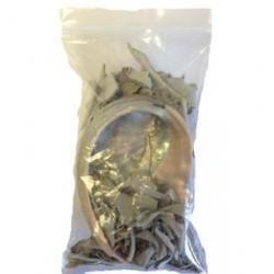 White Sage Smudge w/shell | Smudge | Wiccan Center