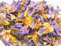 Blue Lotus (1/2oz) | Herbs | Wiccan Center