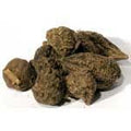 High John Root - Whole (1oz) | Herbs | Wiccan Center