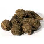 High John Root - Whole (1oz) | Herbs | Wiccan Center