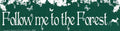 Follow Me to the Forest - Bumper Sticker | Bumper Stickers | Wiccan Center