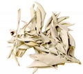 Loose White Sage - 1 LB