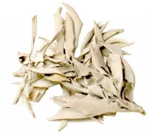 Loose White Sage - 1 LB