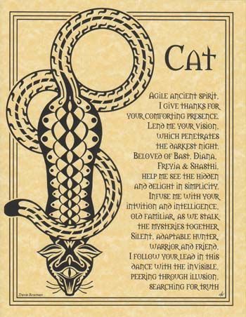 Cat Prayer | Poster | Wiccan Center