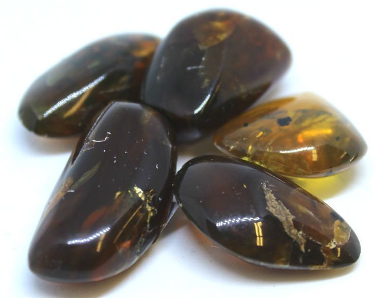 Amber Dark Columbia | Tumbled Gemstone | Wiccan Center
