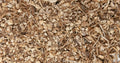 Beth Root / High John - Cut (1 oz) | Herbs | Wiccan Center