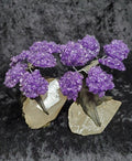 Amethyst on Clear Quartz Point - Tree (4.5"H) | HomeDécor | Wiccan Center