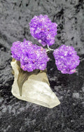 Amethyst on Clear Quartz Point - Tree (4"H) | HomeDécor | Wiccan Center