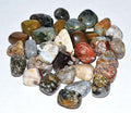 Jasper Ocean - Tumbled | Tumbled Gemstone | Wiccan Center