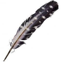 Triple Moons Feather (12") | Feathers | Wiccan Center