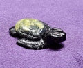 Septairian Turtle Small | Figurines | Wiccan Center