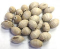 Tulsi "Oval Shaped" Bead 5-Pk | Beads | Wiccan Center