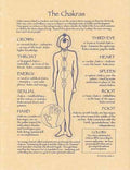 Chakras Poster | Poster | Wiccan Center