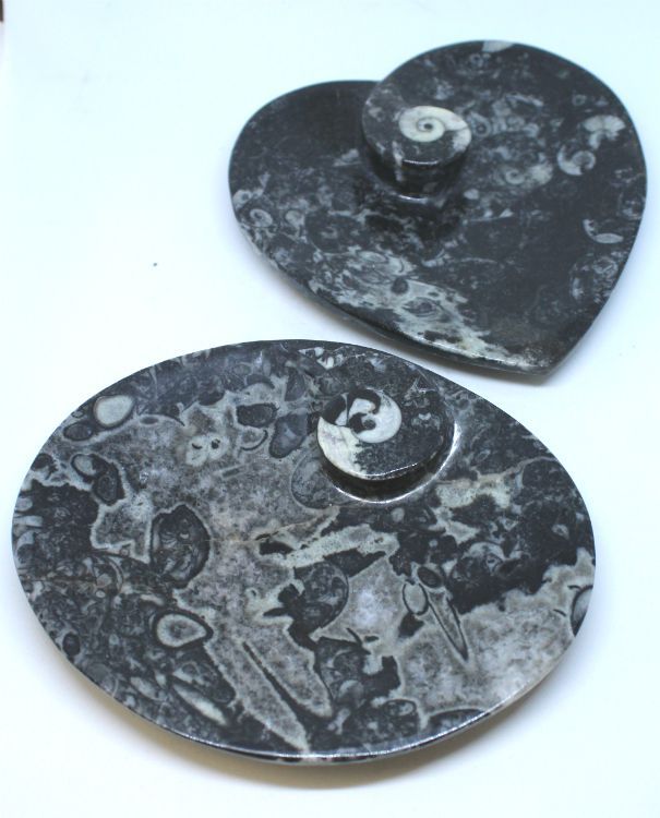 Goniatites Dish | HomeDécor | Wiccan Center