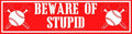 Beware of Stupid - Bumper Sticker (11.5"L) | Bumper Stickers | Wiccan Center