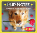 Pup Notes | Deck | Wiccan Center