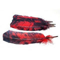 Smokey Red Feather | Feathers | Wiccan Center