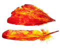 Tie Dye Red Feather | Feathers | Wiccan Center