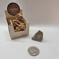 Aragonite - Rough Gift Box | Rough Gemstone | Wiccan Center